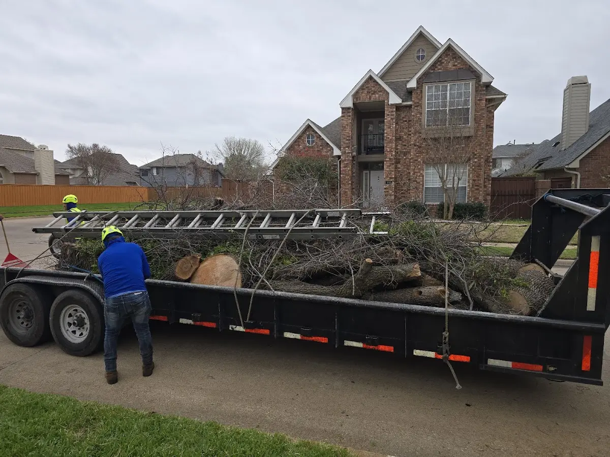Expert Tree Fertilization with proper safety equipment in Mc Grath